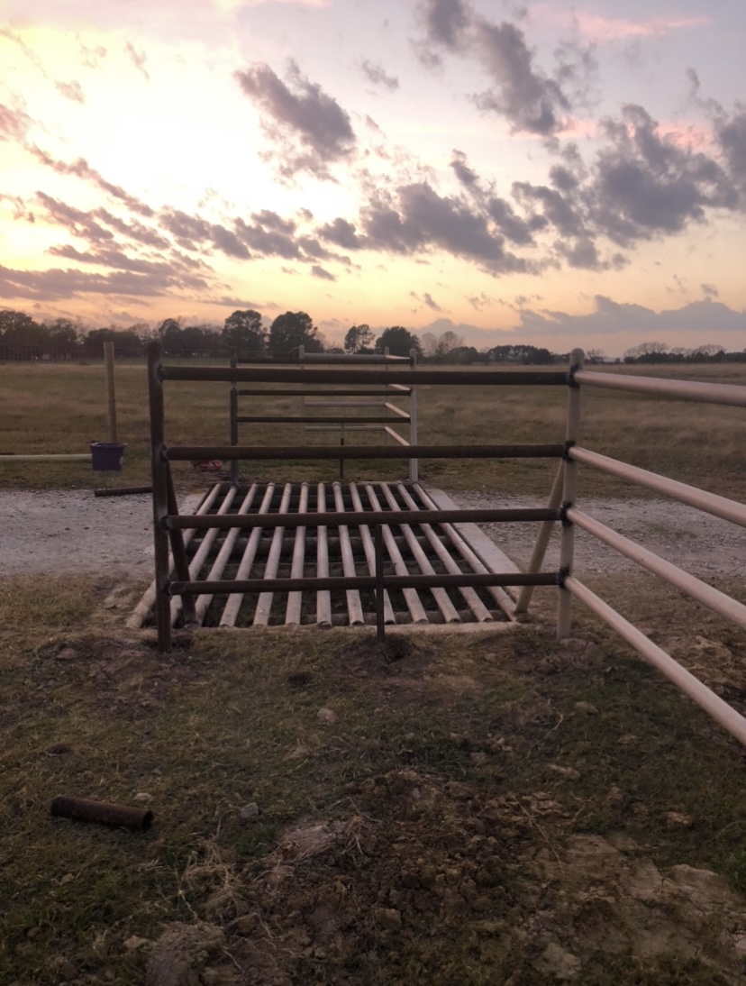 Welded Fence in the Sunlight